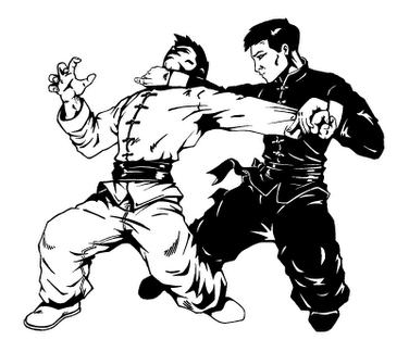 Kung Fu em Viamão